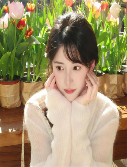 发现《史前狂鲨》：未被注意的细节与意义