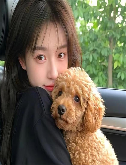 《海贼王2：发条岛的冒险》娱乐指数：观赏性与娱乐价值综合评价